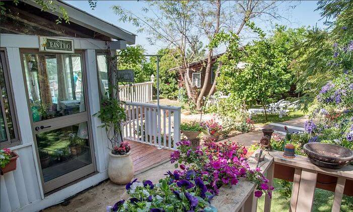 בקתה בצפון.jpg