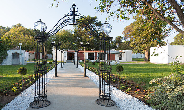 ארץ הדפנה.jpg